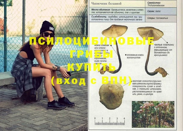 эйфоретик Зеленодольск